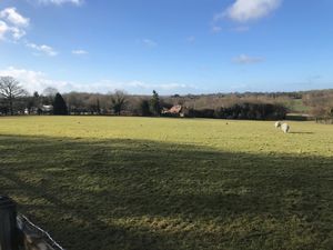 Photo 4- click for photo gallery